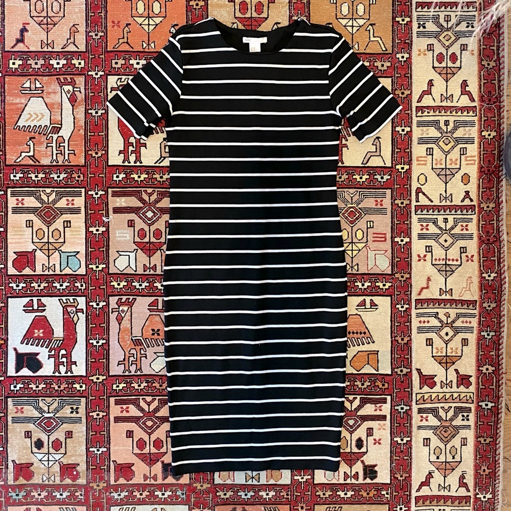 H&M fitted stripe dress